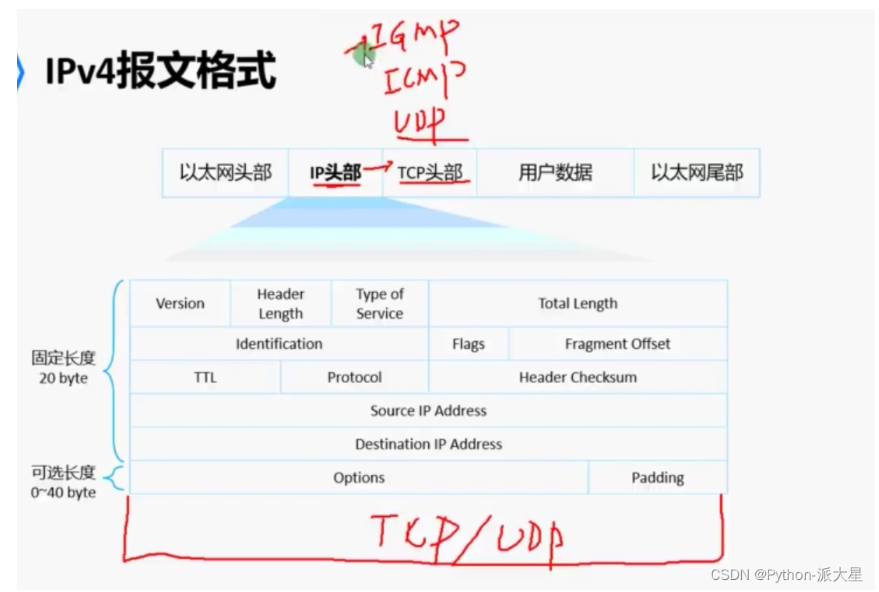 源主机报文分到目的主机