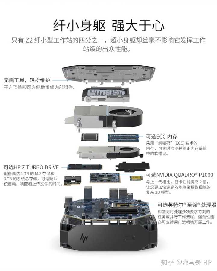 工作组都不到主机