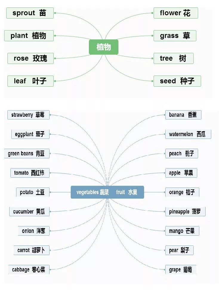 关于小学英语水果的课程备案