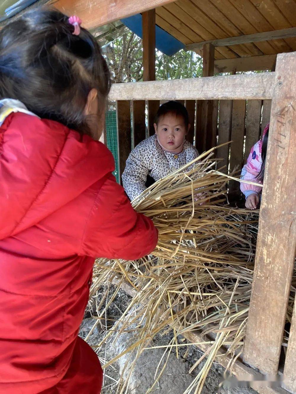 小羊人冷库主机